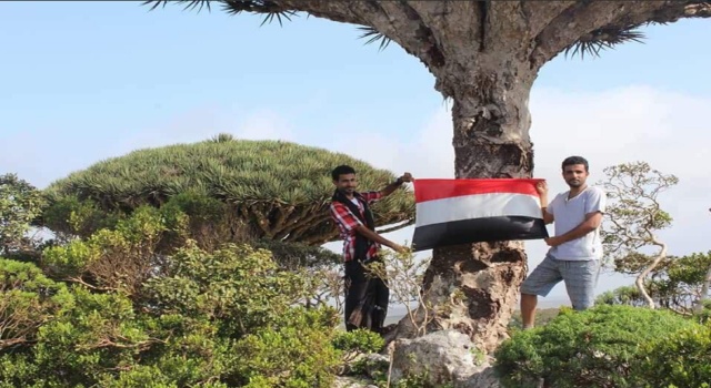 الحكومة: احداث التمرد في سقطرى استهداف للآمنين وانقلاب على الشرعية وعلى التحالف تحمل مسؤولياته